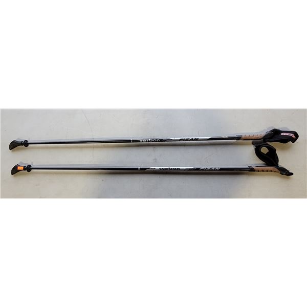 Pair of Fizan Carbon Lightweight Walking Sticks Made in Italy