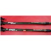 Image 2 : Pair of Easy Walk Anti-Shock Walking Sticks