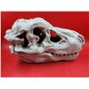 Image 2 : Plastic Battery-Powered T-Rex Skull