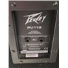 Image 2 : Peavey PV 115 2-Way Speaker