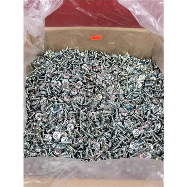 Lot of Self-Tapping Screws