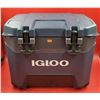 Image 1 : Igloo BMX Hard Cooler