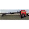 Image 1 : Homelite 180V Leaf Blower