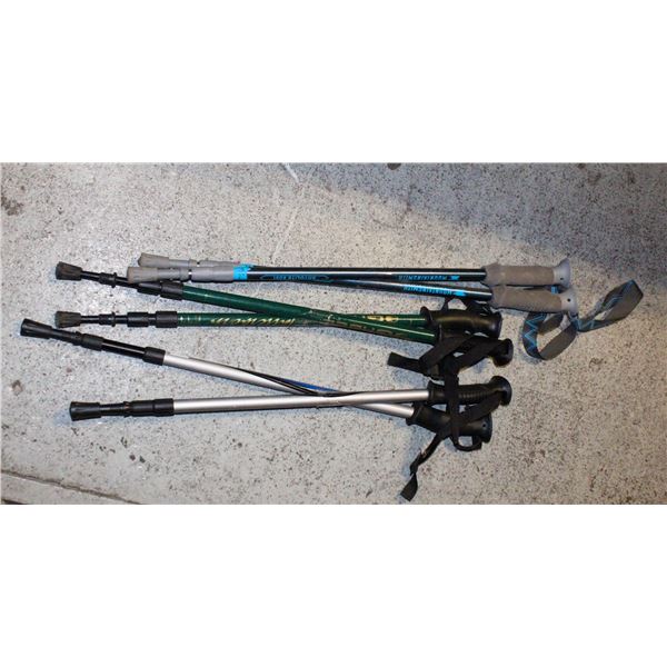 3 PAIRS HIKING/WALKING STICKS