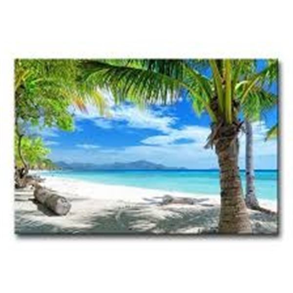 NEW BLUE WALL ART PAINTING BEACH PALM TREE