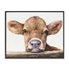 Image 1 : BRAND NEW STUPELL CUTE BABY COW ANIMAL WATERCOLOR