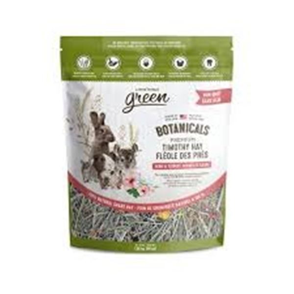 NEW 48OZ LIVING WORLD GREEN BOTANICALS TIMOTHY HAY