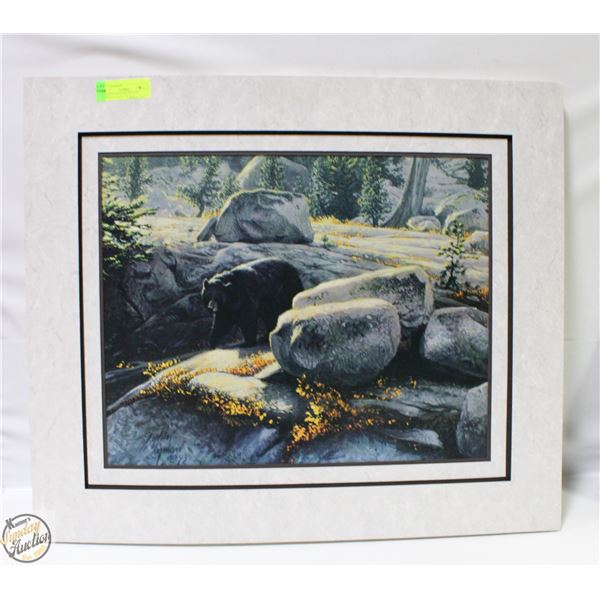 BLACK BEAR IN WILDERNESS STEPHAN LYMAN 27" X 23"