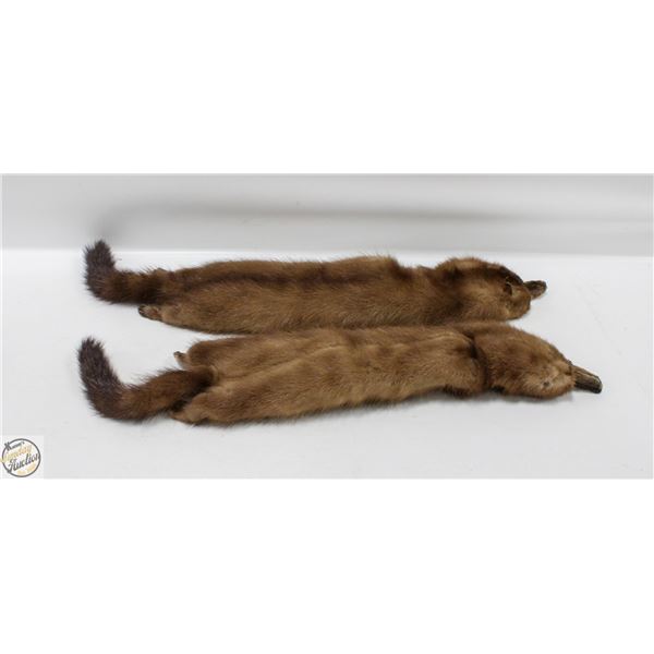 2 FUR MINK