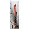 Image 1 : SALOMON ORANGE 64" SKIS & POLES, THE POLES ARE