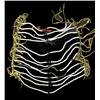 Image 1 : Arapaho Beaded Breast Plate
