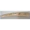 Image 8 : Eskimo Ivory Cribbage Board