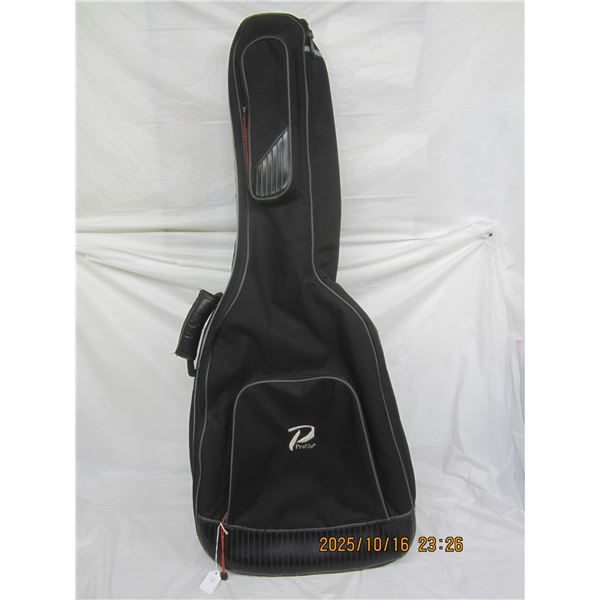Backpack Guitar Case in Good Shape