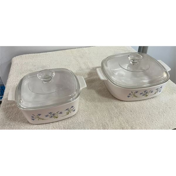 Pyrex Casserole Dishes with Crocus Pattern