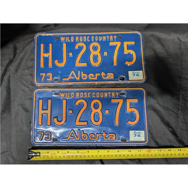 (2) Vintage 1973 Alberta Matching License Plates HJ-28-75
