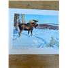 Image 4 : 3 monarch life collection prints- moose, buffalo, carabou