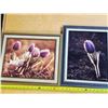 Image 1 : 2 flower print pictures