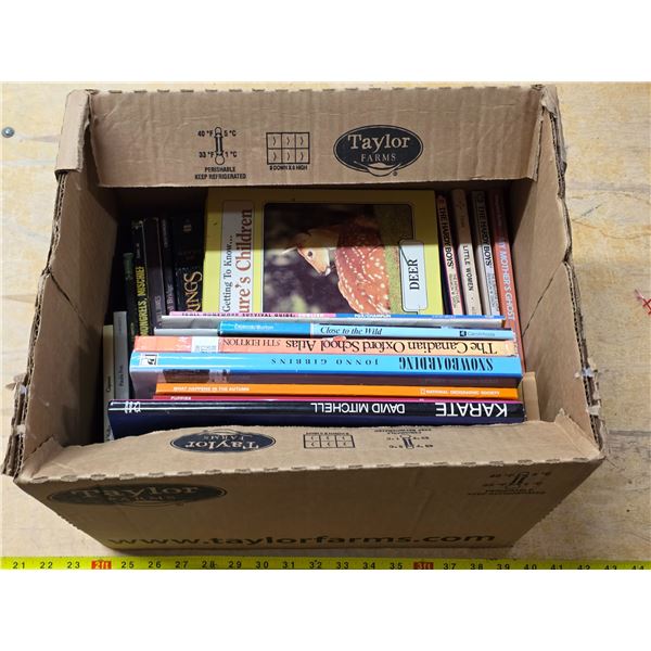 Lot of books