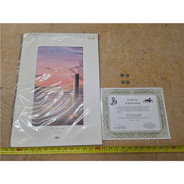 Certifized the heartland print picture 336 of 1299