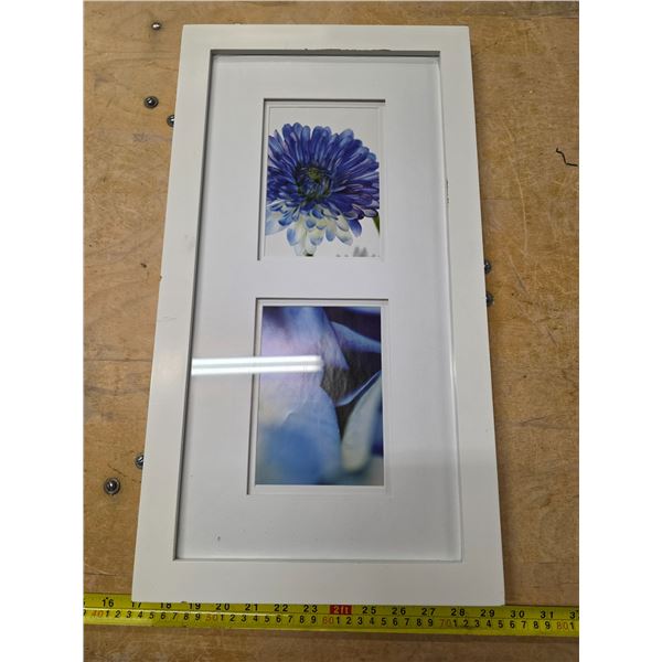 Dual picture frame with flower pics