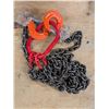 Image 1 : Chain and Sling Hook Set (7/8-8 WLL2T) (5/8 WLL3T)