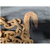 Image 2 : Heavy logging Chain 12' Long