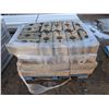 Image 1 : Pallet of Interlocking Stone Bricks 7"x18"