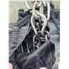 Image 2 : Bag of chains and a harness