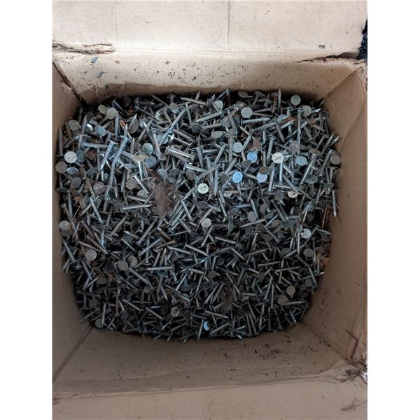 Box Full of Nails