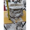 Image 2 : Coil of 2" Rope