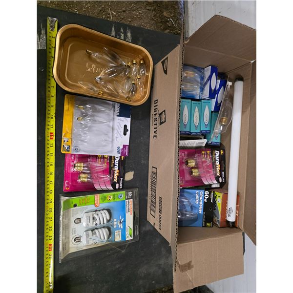 Lot of various light bulbs