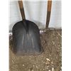 Image 2 : Shovel and pitch fork