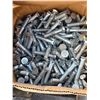Image 1 : Box of plow bolts