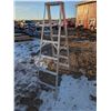 Image 1 : 5'10 Ladder