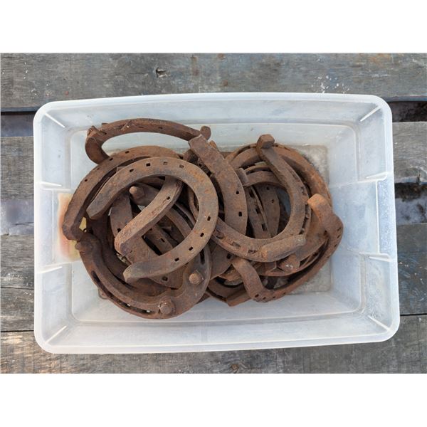 Lot of Vintage Horse Shoes