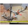 Image 1 : 2 white tail deer antlers- with tags