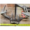 Image 2 : 2 white tail deer antlers- with tags