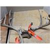 Image 3 : 2 white tail deer antlers- with tags