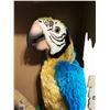 Image 2 : Squakers McCaw Parrot (Works: Needed Batteries)