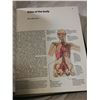 Image 6 : Older Medical Guide Book