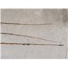 Image 2 : 3 vintage bamboo fly fishing rods - APPROX. 9-10FT, come apart for easy shipping