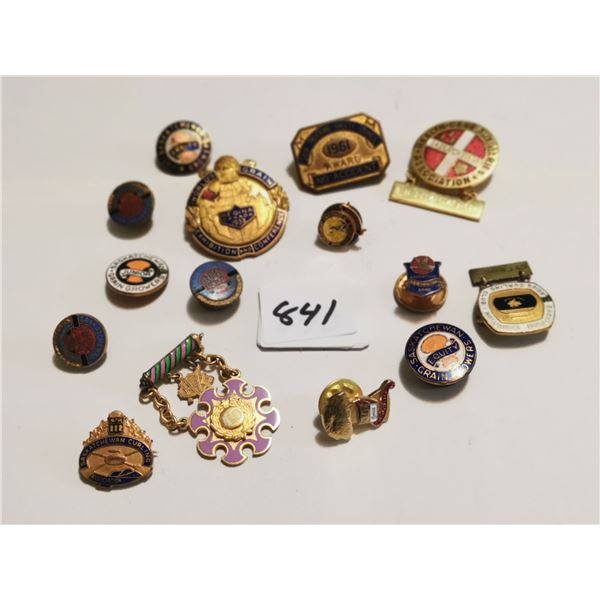 Saskatchewan Vinatge Pins