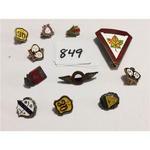 11 Dyrtling Silver Birks Pins