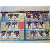 Image 2 : 1990/ '91 Panini Hockey card collector book.