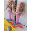 Image 3 : Barbies's Ken doll catching mermaids.