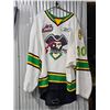 Image 1 : 2013/2014 Prince Albert Raiders "Nick McBride #30" Goaltender Jersey, Signed