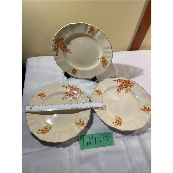 Rose Hip or Berry Patter Plates