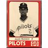 Image 1 : 1980 MiLB TEAM SET PENINSULA PILOTS - JULIO FRANCO