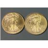 Lot of 2 - 2014 American Eagle 1oz Silver Dollars