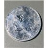 Image 1 : 2004 $5 Canadian Maple, 1oz, 0.999 Fine Silver Round.